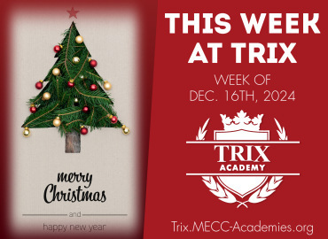  Trix Academy