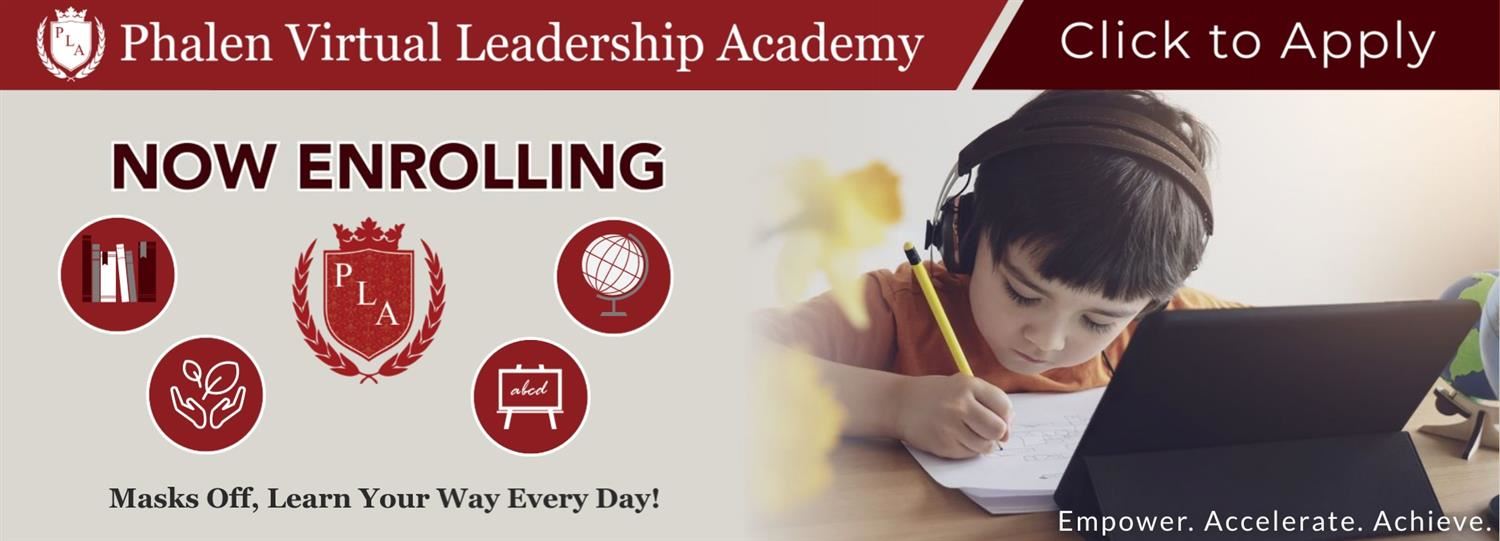 Virtual leader essay 07 image